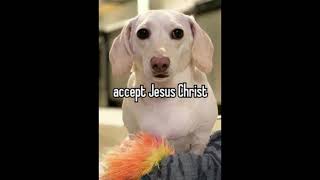 Homophobic Dog.png