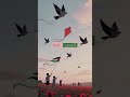 The children of Gaza #tributesong #freepalestine #gaza #gaza #song