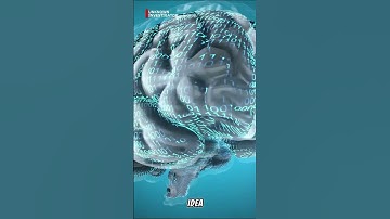 Living Forever The Truth About Digital Immortality!