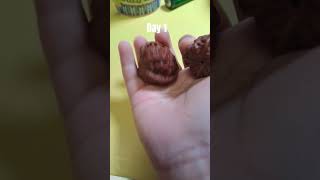 day 1 make wallnut 2 shiny