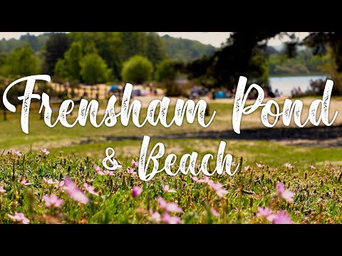 FRENSHAM POND BEACH, National Trust, Surrey