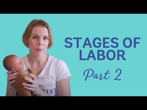 Stages of Labor Part 2 (EBB Crash Course)
