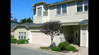 Mangold Property Management