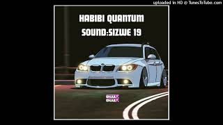 Sizwe Nineteen ft R Bee De vine 07 Drumonade Tumi Sdomane Habibi Quantum Sound