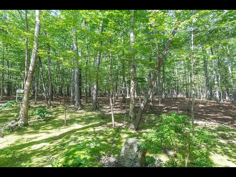 4094 Bluebird LN, Salem, VA home video tour