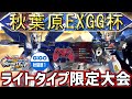 秋葉原EXGG杯~GIGO1号館最終日!!ライトタイプ限定杯~【イ二ブ】【EXVSIB】
