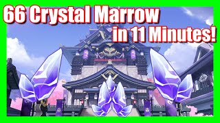 66 Crystal Marrow In 11 Minutes  Genshin Impact  Material Farm  How To Farm 
