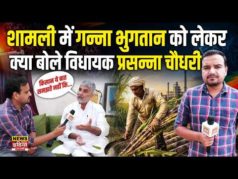 Shamli में गन्ना भुगतान पर MLA Prasanna Chaudhary का बड़ा बयान! किसानों के लिए क्या बोले? | Farmers