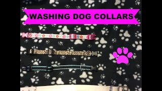 Hi everyone! the beagle house requested a video on how i wash dogs'
collars. thank you for watching! places to find me: instagram
http://instagram.com/do...