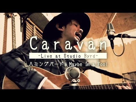 Caravan -Live at Studio Byrd-【LiveFans Around】