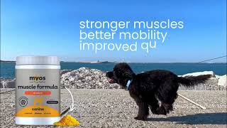 MYOS Commercial Spot