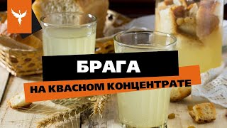 Брага на сухом квасном концентрате. Подкормка сахарной браги сухим квасом - тот еще результат