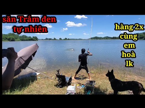 Câu Lục. Săn Đen 2X.Hàng Tự Nhiên. Cùng Em Hoà.Lk.Phần.3