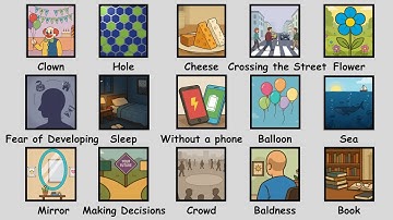 Every Strange Phobia Explained in 14 Minutes