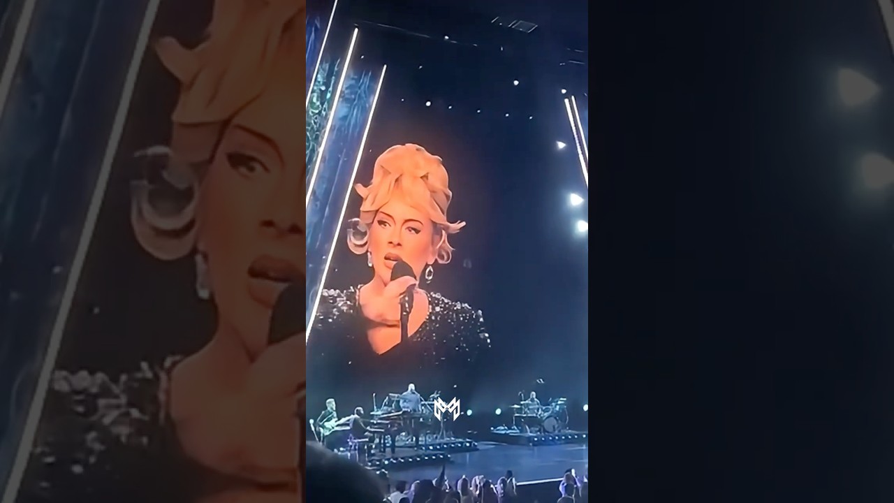 Adele Stopped Her Show for This