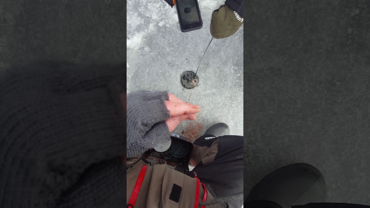 14th World Ice Fishing Championship, Riga 2017