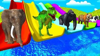 Choose the Right Mystery Drink with Elephant Mammoth Gorilla Cow Hippo Max Level Long Legs Squeeze