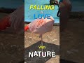 Nature Short 1