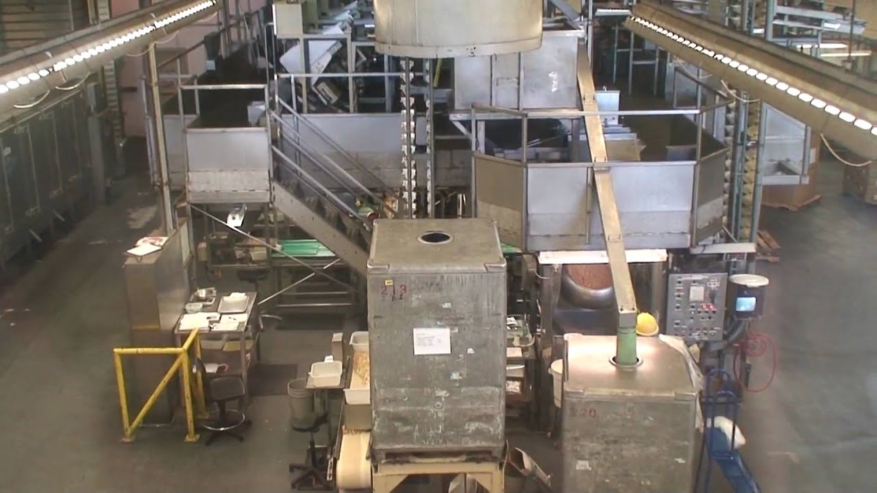 mauna loa macadamia nuts factory 2/2 YouTube