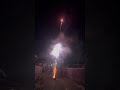 happy new year 2026! Anarchy #fireworks #newyear2026