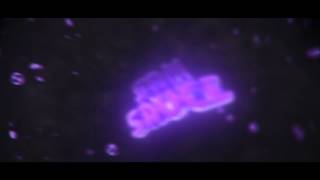 SamSauce Entry | By Dacho - New Sync