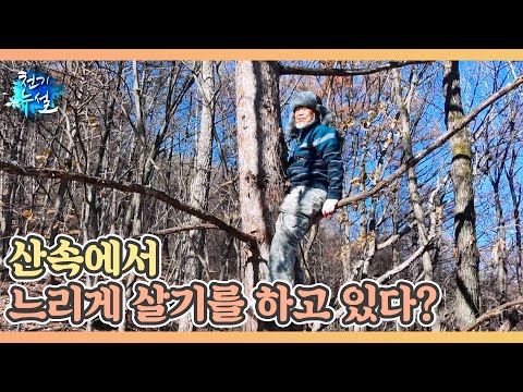 게으르고 느려야 <strong>오래</strong> <strong>산다</strong>? MBN 241227 방송