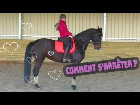 Vidéo: Comment Arrêter Un Cheval