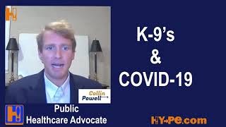 Dogs Trained To Detect COCID-19 (K-9's and COVID)
