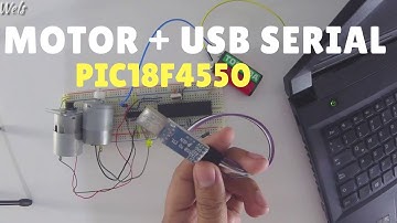 Como mover 2 Motores con USB Serial usando PIC18F4550 - Wels Theory