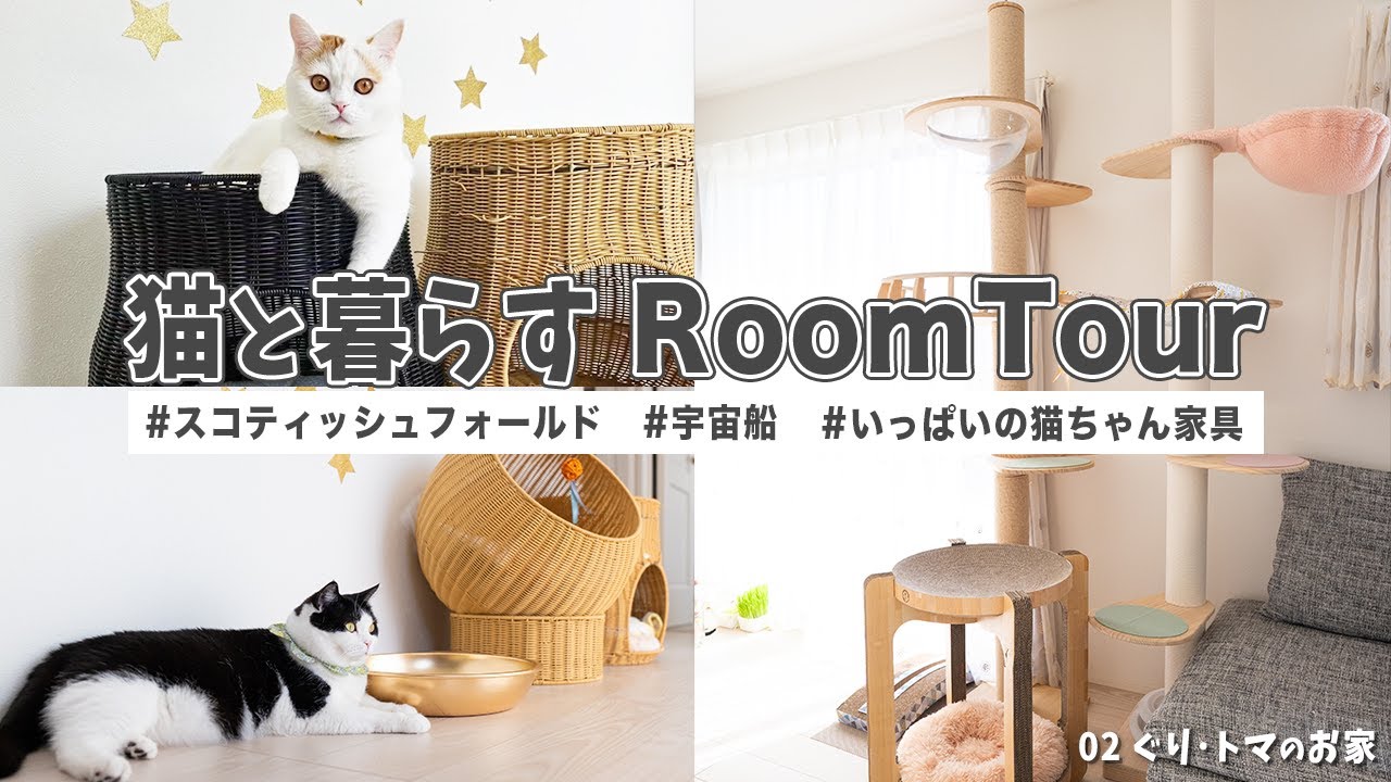 猫と暮らすルームツアー】いっぱいの猫ちゃん家具があるお家 | 1LDK 猫