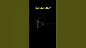 PERCEPTRON #shorts #avecoders