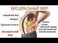 Висцеральный ЖИР - Ожирение внутренних ОРГАНОВ / Самый ОПАСНЫЙ!!! / Фролов Ю.А.