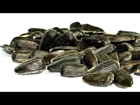 Girl ends up in hospital after eating sunflower seeds