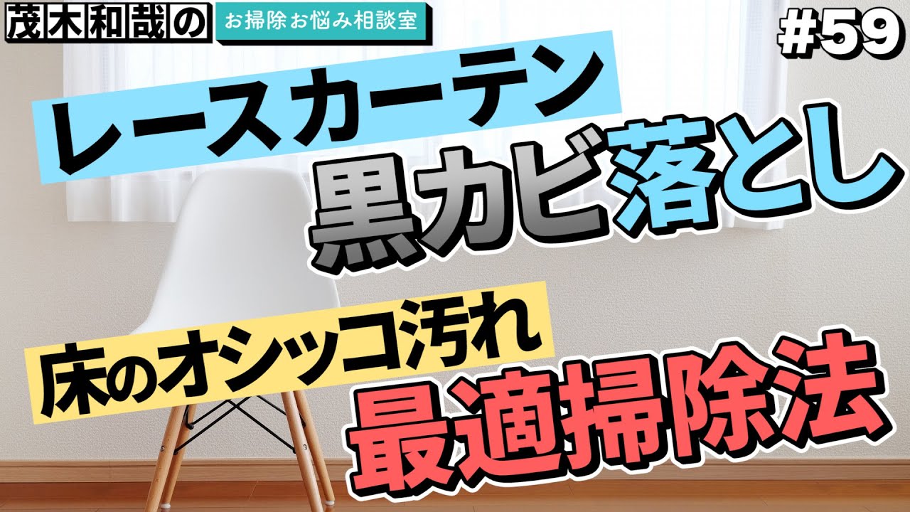 レースカーテンに生えた黒カビの落とし方は 床のオシッコの最適な掃除方法は Youtube