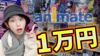 【買い得】アニメイト買った１万円分の購入品紹介！！
