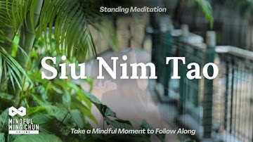 Wing Chun: Guided Siu Nim Tao Full Sequence 