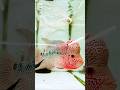 🐟 शानदार Flowerhorn Fish | Aquarium का असली King #FlowerhornFish #vairalshort #FishLover