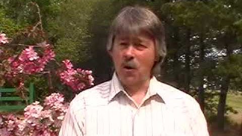 From the Soundbooth Introduction