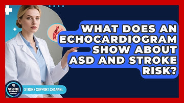 What Does An Echocardiogram Show About ASD And Stroke Risk? - Stroke Support Channel
