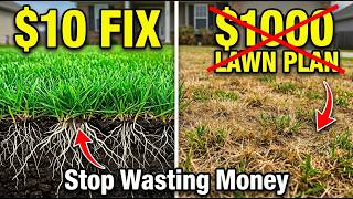 What Lawn Care Companies Don't Tell You So You Keep Paying Them