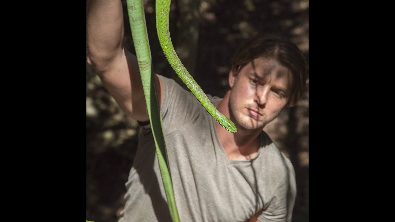 Green Mamba Vs Human YouTube
