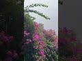 Delhi