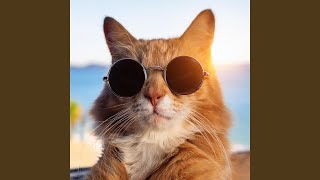 Ritmos Maravillosos Del Gatito