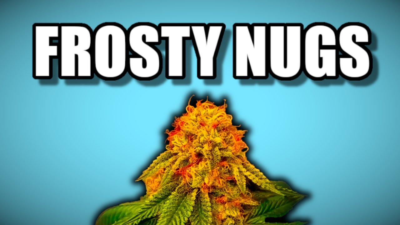 Vlog 4: The Flowering Room Tour