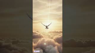 JESUS BRING PEACE 🕊️✨ #shorts #bible #worship