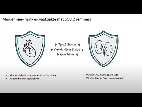 Webinar: SGLT2 remmers laten nierpatiënten langer leven