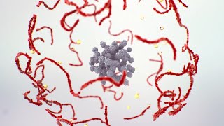 Encapsulation Technology Medical Animation for Aqdot/Vivomotion
