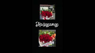 Seher Müzik Organizasyon