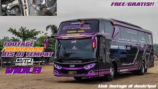 FOOTAGE/mentahan bis STJ viola | FREE