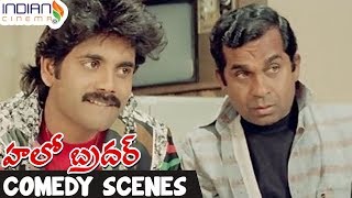 Telugu Comedy Scenes | Brahmanandam Comedy | Nagarjuna | Best Funny Videos | Hello Brother Film